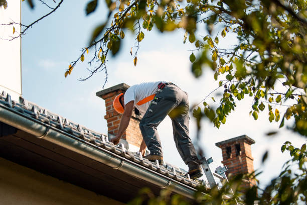 Best Roofing Contractors for Homes  in Delavan Lake, WI